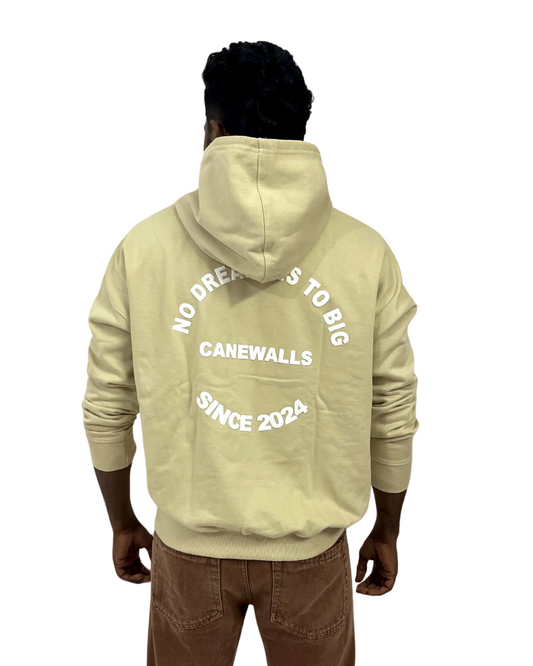 Canewalls - Back Printed Korean Hoodies