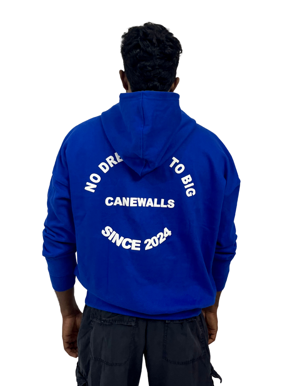 Canewalls -Back Printed Korean Hoodies | Blue